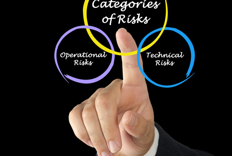 Categories of business risk